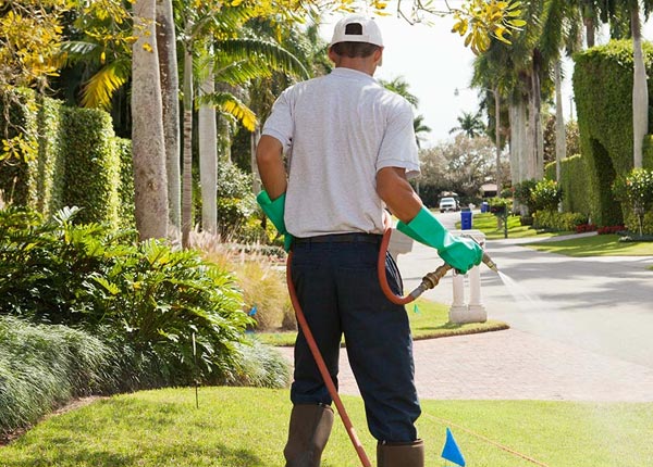 About Ranier MN Pest Control